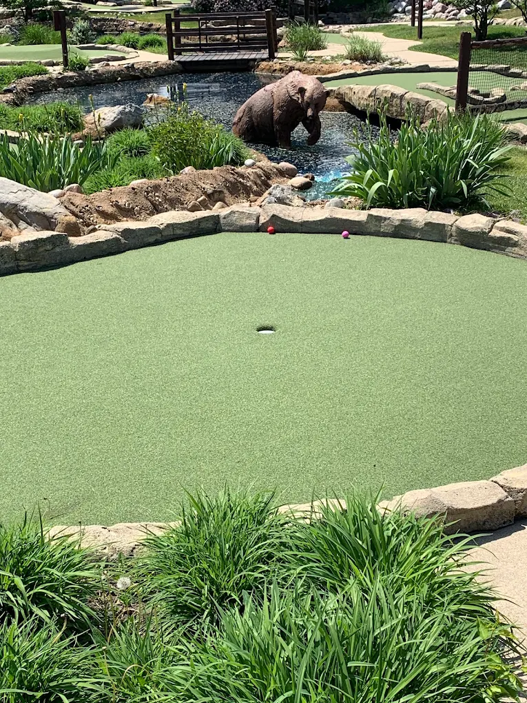 Bear Course